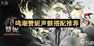 鸣潮赞妮声骸如何搭配