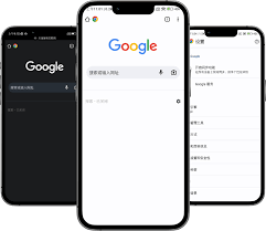 谷歌浏览器手机版官网入口在哪