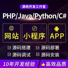 deepseek网页版和app版的区别是什么