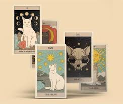 占星猫如何玩塔罗牌