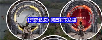 荒野起源阅历怎么获得