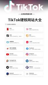 抖音国际版网站如何在线看