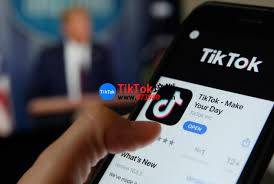 tiktok国际版视频在线观看链接入口在哪