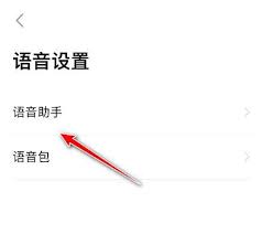 高德地图导航语速如何设置