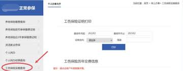 沈阳政务服务网app怎么查询保险