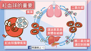贫血是血液量少导致的吗