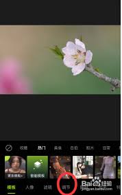 醒图镜像功能在哪里