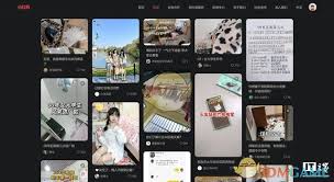 小红书网页版入口在哪