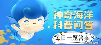 盐沼的正确说法是什么