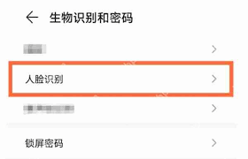 麦芒10se面容解锁如何设置