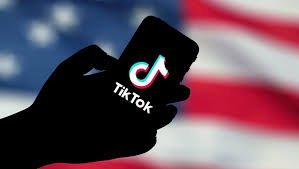 tiktok官网登录入口是什么