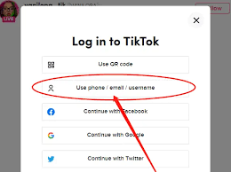 如何进入tiktok网址