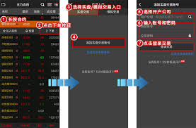 随身行怎么横屏k线