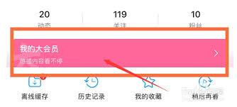 如何关闭哔哩哔哩大会员自动续费