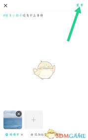 soul怎么隐身发动态