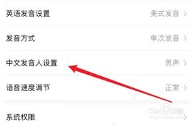 翻译君app如何设置男声