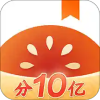 番茄小说去广告app