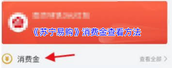 如何查看苏宁易购消费金