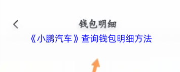 小鹏汽车app如何查询明细