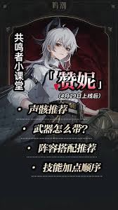 鸣潮赞妮如何养成与出装配队推荐