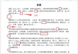 word换行符怎么写