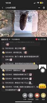 街猫app怎么搜索用户