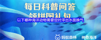 哪种海洋动物需要定时浮出水面换气