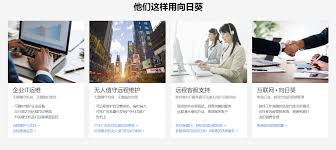 如何安装VNC远程控制软件