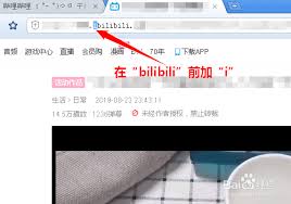 如何下载哔哩哔哩视频