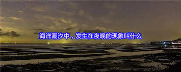 海洋潮汐中夜晚发生的现象叫什么