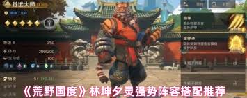 荒野国度林坤如何搭配阵容