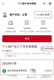 支付宝城乡居民医保缴费查询方法