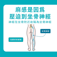 蹲久了腿麻的原因
