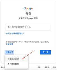 2025年google官方网站登录入口在哪