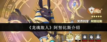 龙魂旅人阿努比斯怎么样