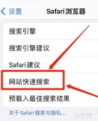 Safari怎样管理网站存储权限