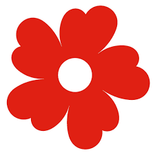 微信如何获取公益小红花