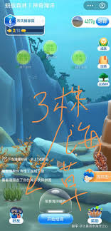 支付宝蚂蚁森林神奇海洋玩法是什么