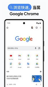 谷歌浏览器海外版无需登录直接进入的地址是什么