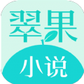 翠果小说纯净版官方版