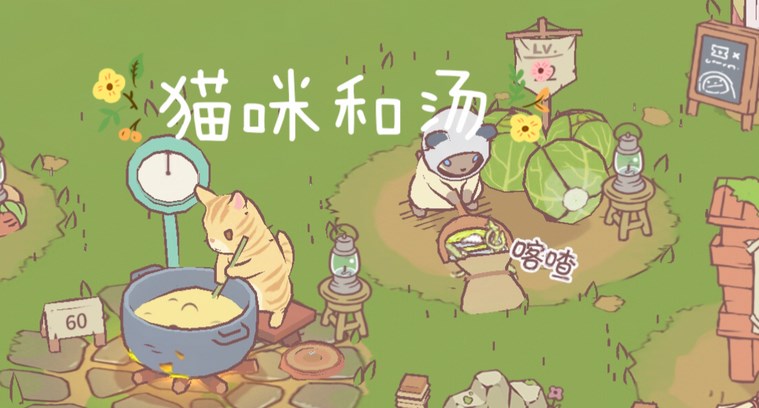 猫和汤