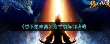 想不想修真中方寸袋如何炼制