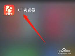 uc浏览器如何在线打开网址