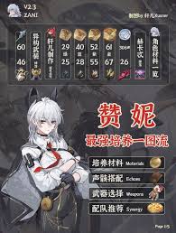 鸣潮赞妮怎么全面培养