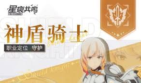 星痕共鸣神盾骑士怎么玩