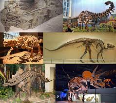 幻想生活i莫霍克恐龙在哪