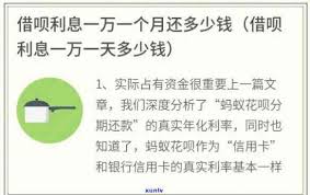 有钱花借一万一年利息是多少