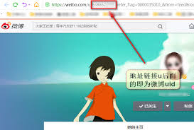 如何查看微博其他用户的uid