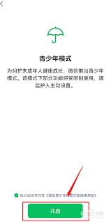 微信青少年模式零钱限额怎么设置