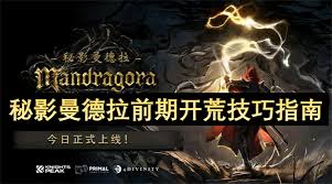 秘影曼德拉新手如何快速上手